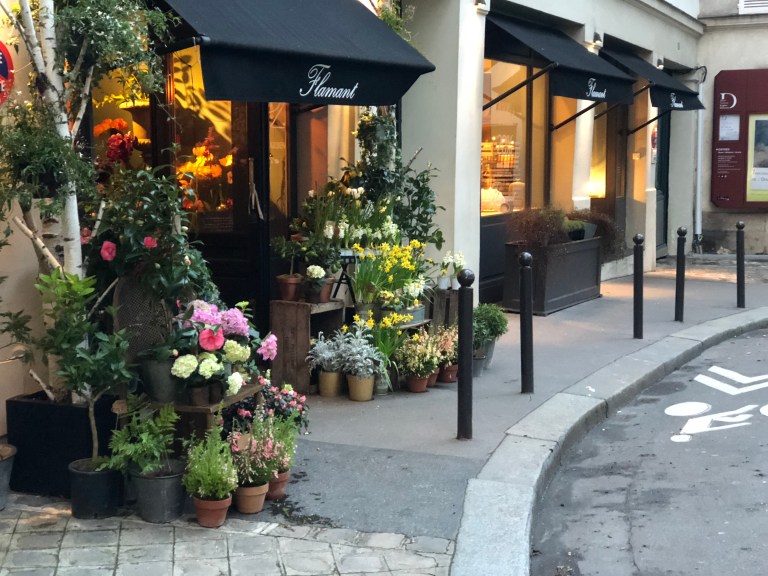 cvx2KdkJRkGv1urjj9EzCA